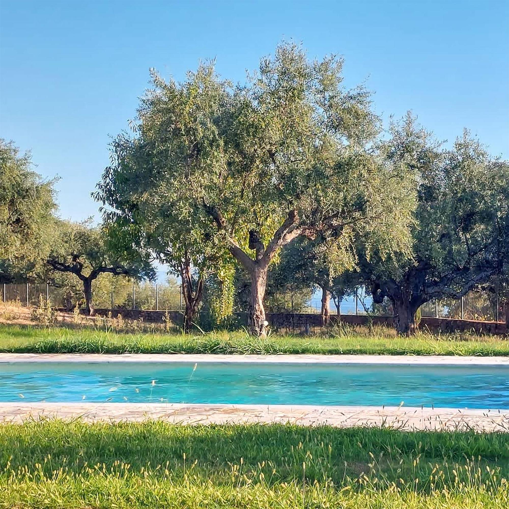 Villa Eleni - Private Pool Bliss Near Kardamili Proástion 외부 사진